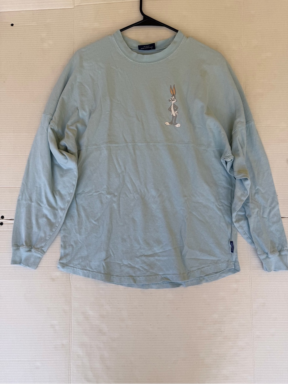 Casual Bugs Bunny Embroidered Long Sleeve Tee - Pale Green